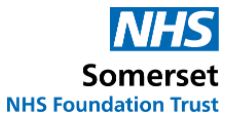 NHS Somerset  -  NHS Foundation Trust Logo